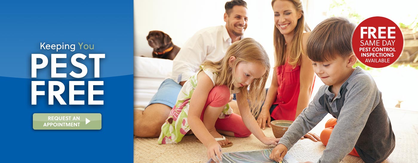 Pest Removal and Extermination Pest Control Rosamond Pest Control Rosamond Pest Removal and Extermination