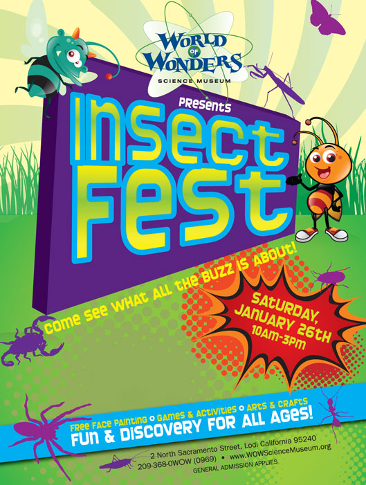 insect fest 2013
