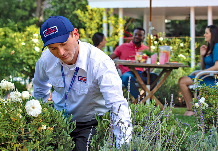 Clark technicians analyzing yard