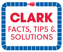 Get rid of cockroaches. Call Clark Pest Control.
