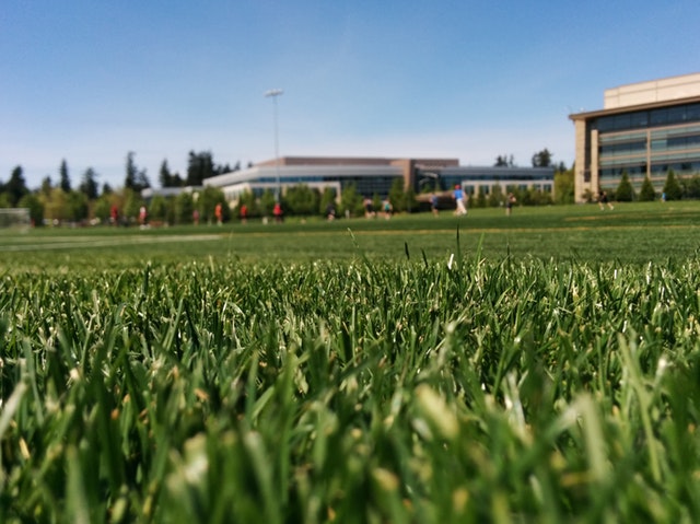Clark lawn fertilization will make your business beautiful.