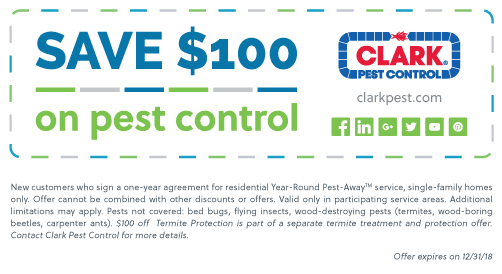 DiscountOnServices_pest Pest control special offer.