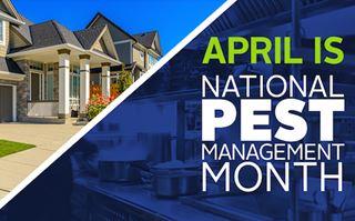 pest-control-month pest-control-month