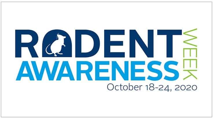 rodentawarenessweek2020 rodentawarenessweek2020