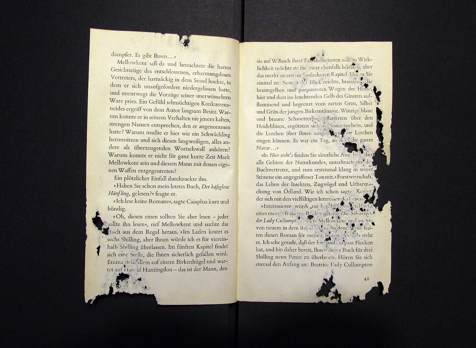 Book page showing irregular silverfish feeding damage