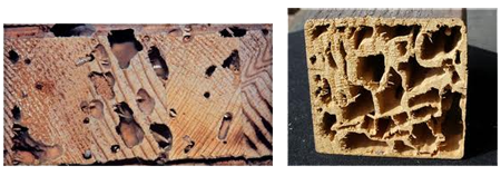 signs-of-termites-4